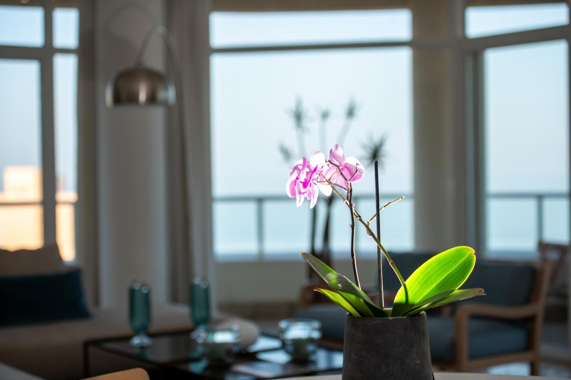 801 Oyster Schelles - By Stay In Umhlanga Durban Exterior photo